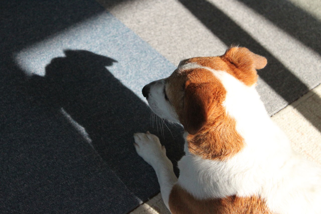 お騒がせジャック レノ れのなび お騒がせジャック レノ れのなび