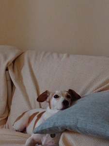 .trashed-1760561916-20250914_080445