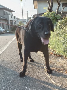 .trashed-1758250265-20250820_060412 (1)