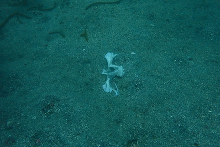 P9280008