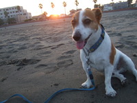 2009.08.23 (17)