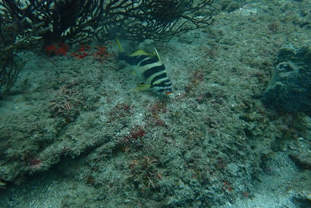 P9280067