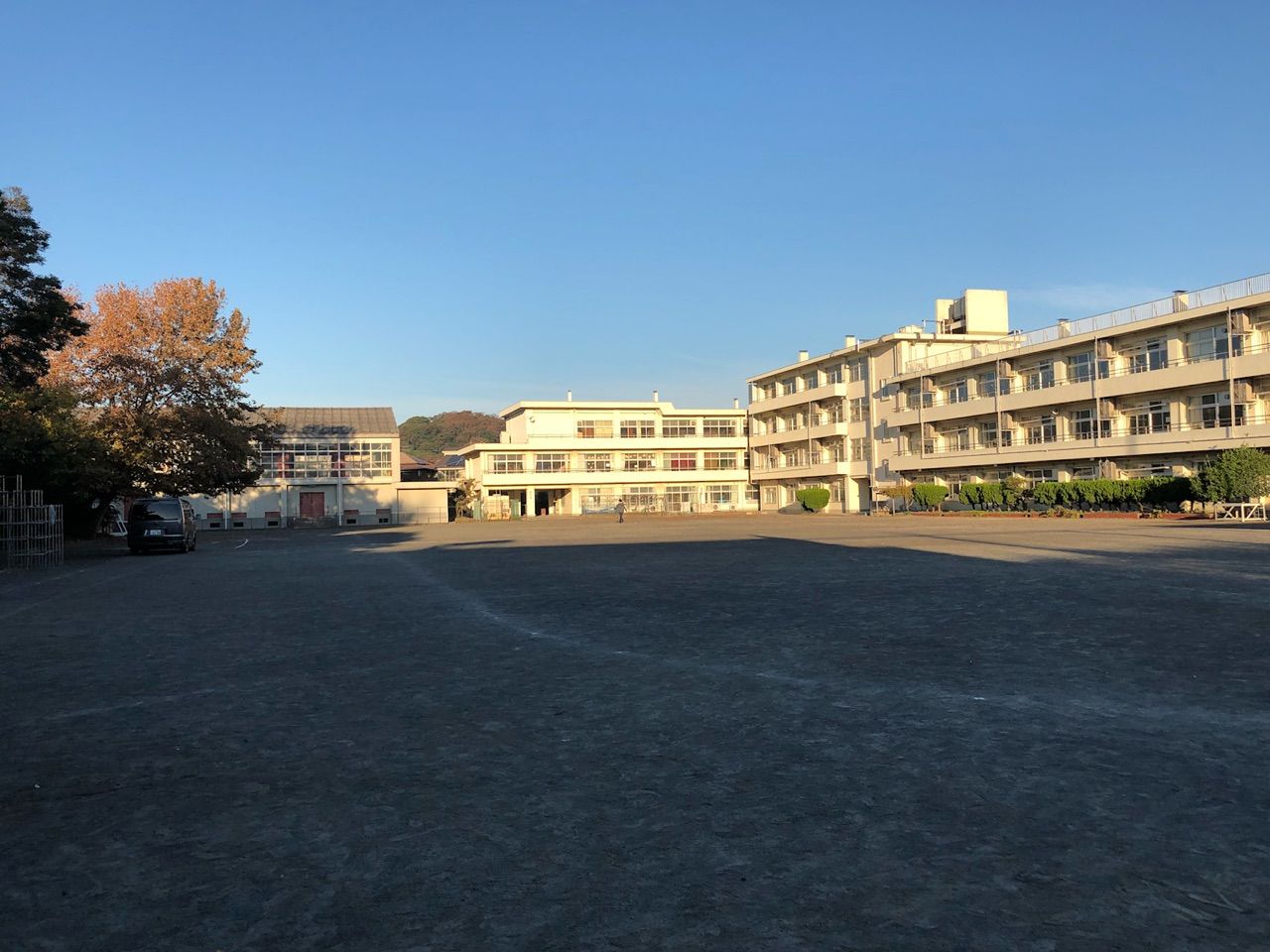 公の場での発言・インタビュー報道記録