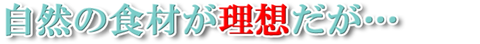 川嶋14-4
