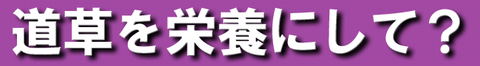 沢田2-2