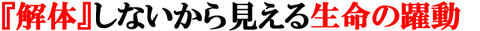 杉本見出し10-3