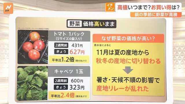 野菜の値上がり、12月後半ごろには落ちつくか…卵価格も上昇傾向