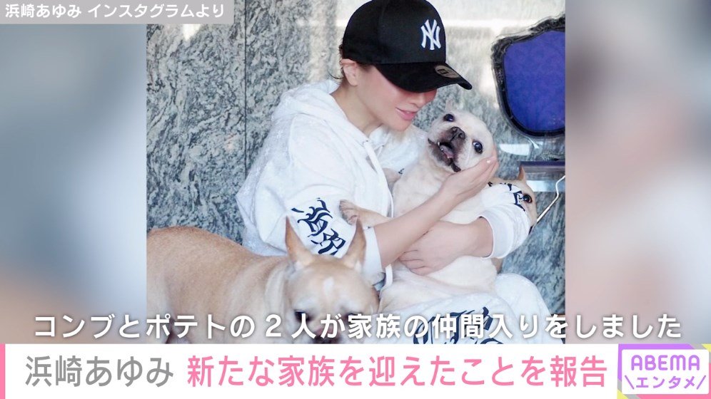 浜崎あゆみ、愛犬に「悪性の腫瘍」…「神様はなぜ更にこの子にこんな辛い試練を…」