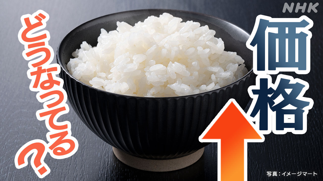飲食店「もう店潰れちゃう」…米の取引価格が去年の1.6倍以上、今後も高値続く