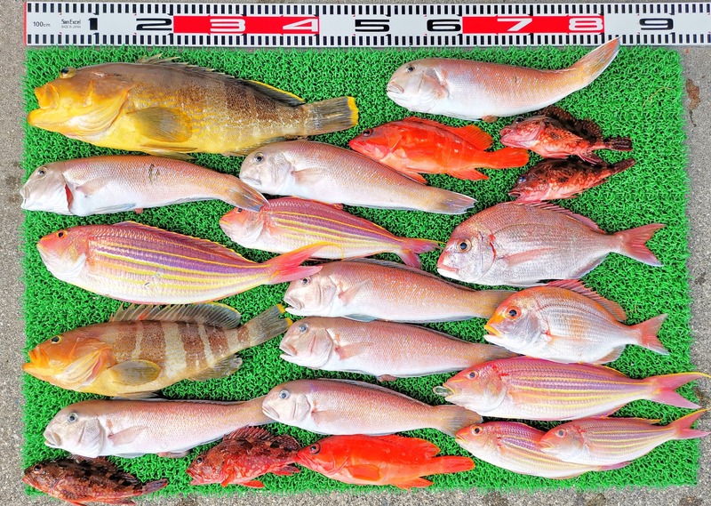 IMG_20230416_140243_edit_130361791868648