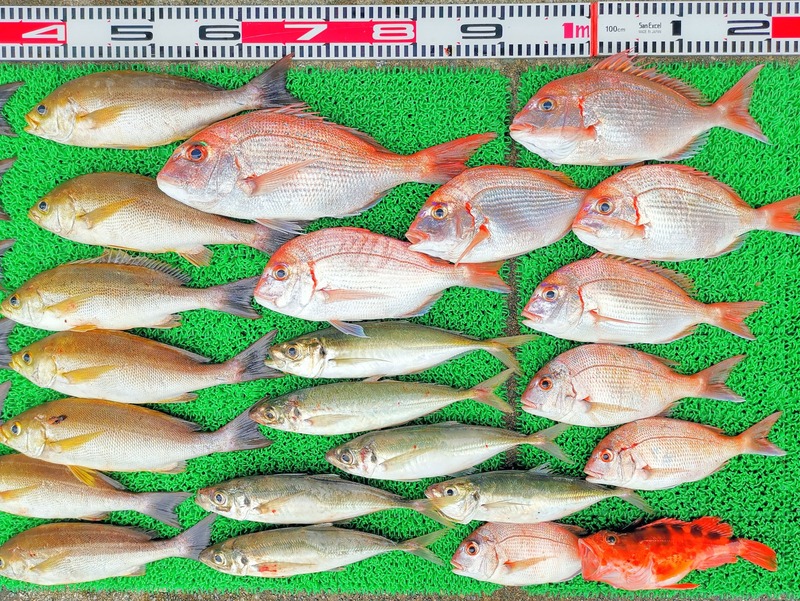 IMG_20260606_152153_edit_531436948895991