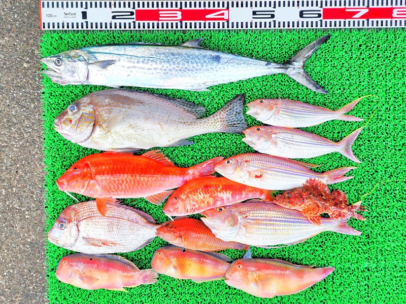 IMG_20211123_155759_edit_1247037196625861