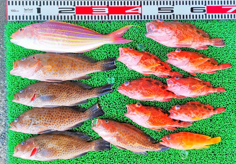 IMG_20251006_141459_edit_1630723909680330