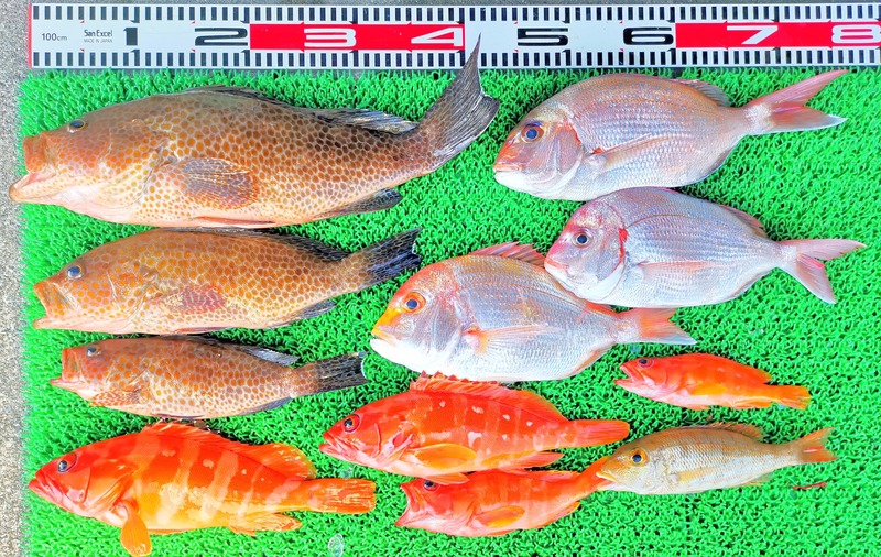 IMG_20251115_153415_edit_2481922696726488