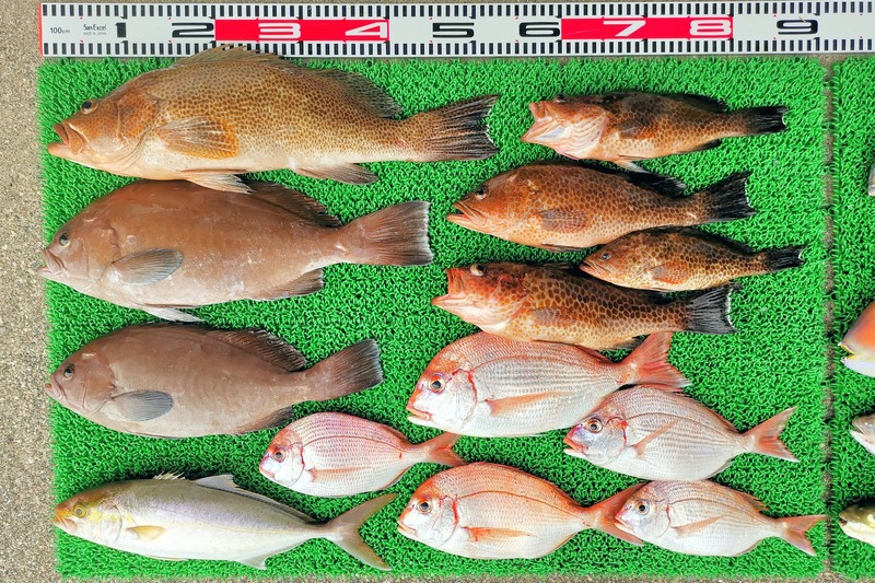 IMG_20251112_131231_edit_2413979507843105