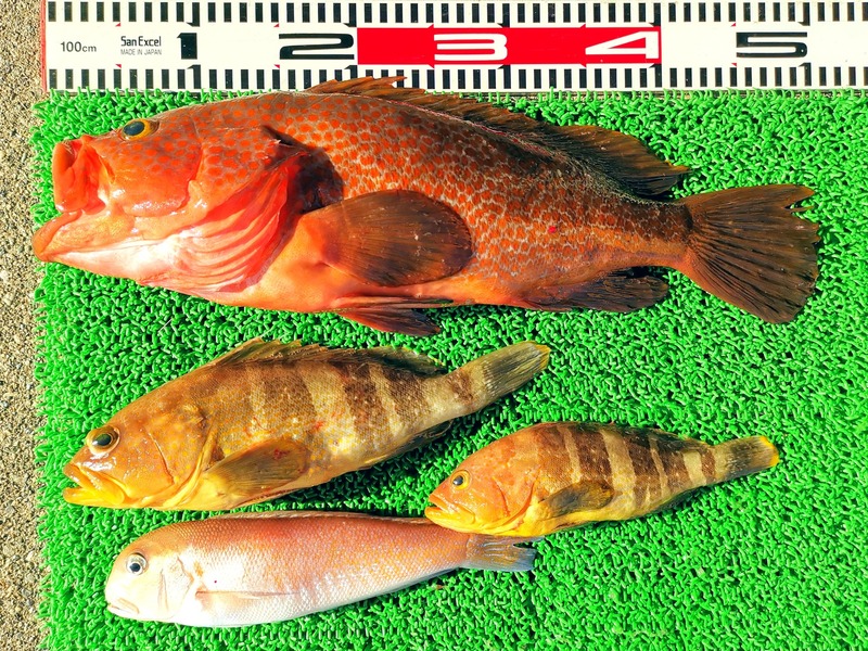 IMG_20250130_151455_edit_390973388372632