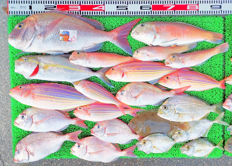 IMG_20251129_155616_edit_2784122931837667