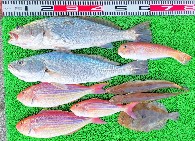 IMG_20250118_155654_edit_169606039177243