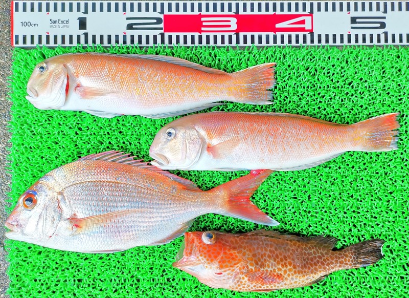 IMG_20230929_142947_edit_572272228402255