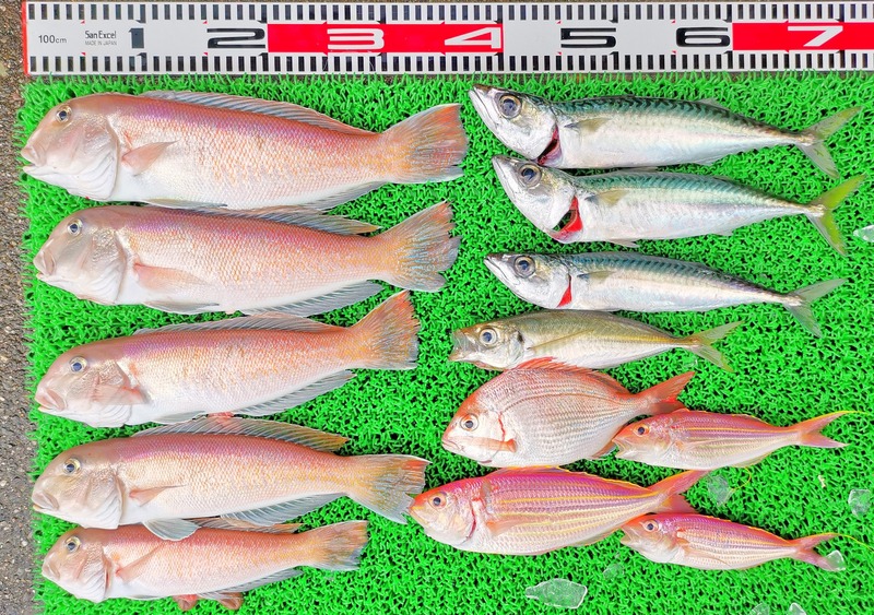 IMG_20220717_154058_edit_706597268814055