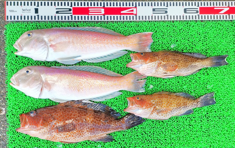 IMG_20250724_153244_edit_4708694862829408