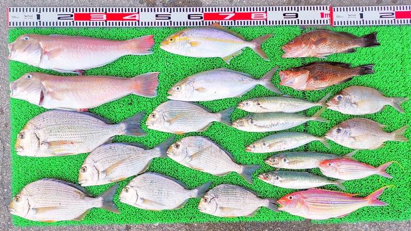 IMG_20251013_163730_edit_1787588907661082