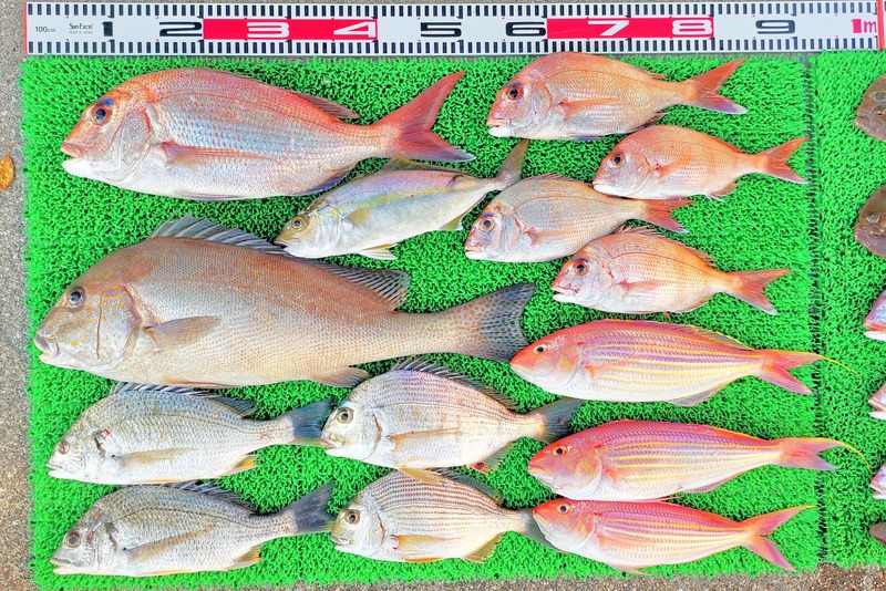 IMG_20251126_140316_edit_2714221176665520