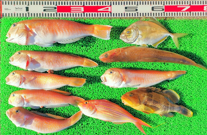 IMG_20250118_153325_edit_169571414182457