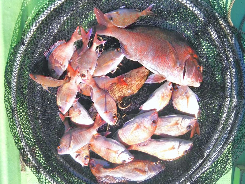 1769159618251_edit_47223520169355