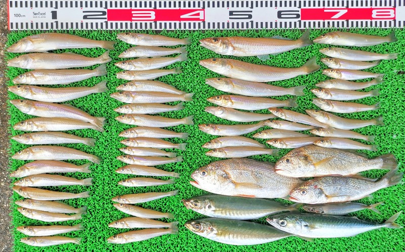 IMG_20220729_153744_edit_76075709854016