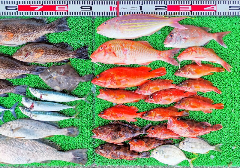 IMG_20251005_162952_edit_1604558843869218