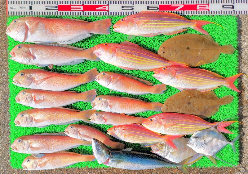 IMG_20250103_141535_edit_671191356633514