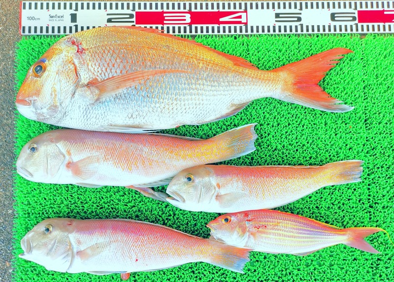 IMG_20251115_130157_edit_2482454552322761