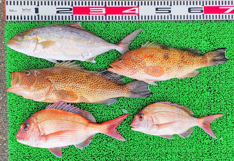 IMG_20250112_154751_edit_51899519800413