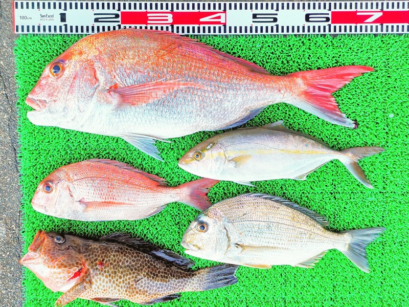 IMG_20251122_160210_edit_2629461049755017~2