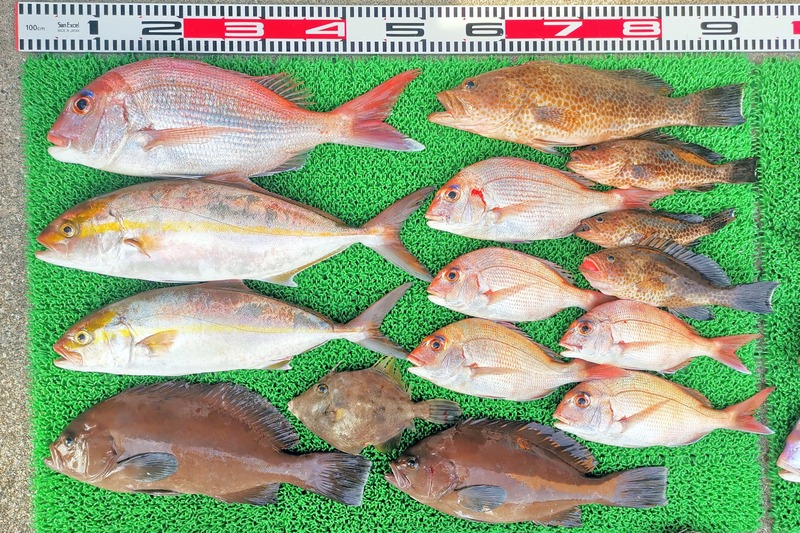 IMG_20251201_140659_edit_2823561384703003