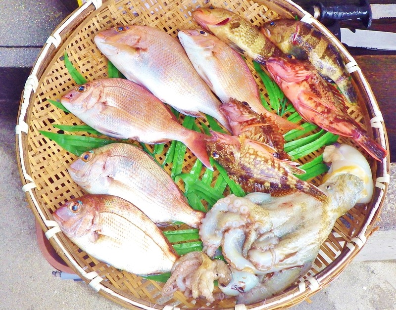 IMGP1860