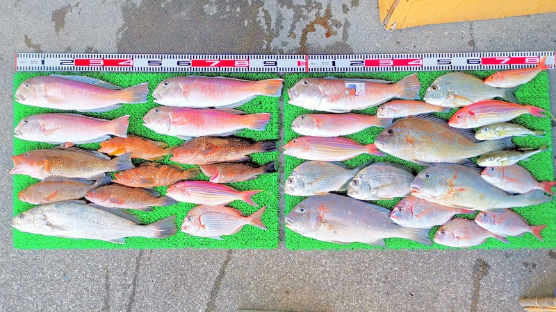 IMG_20251115_152643_edit_2482349006115485