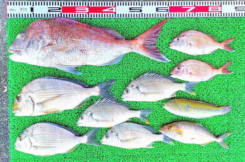 IMG_20250724_154934_edit_4708780001126791