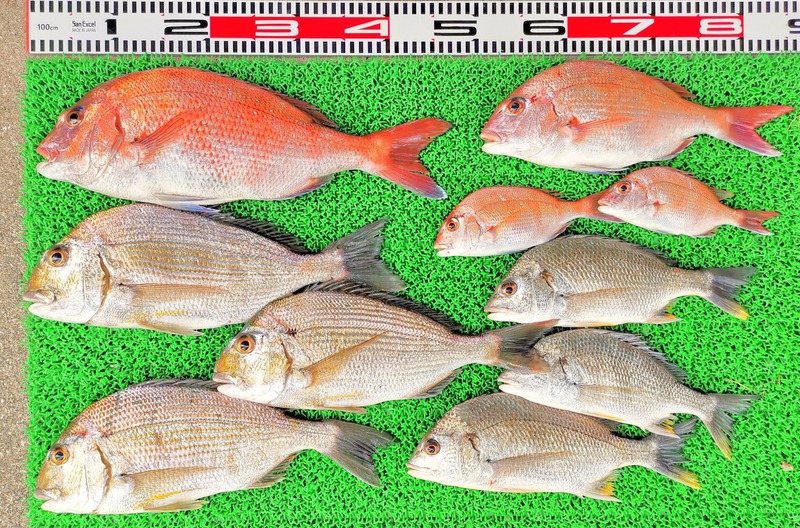 IMG_20230416_143618_edit_130435834551449