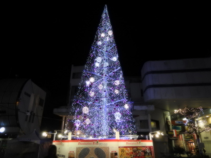 DSCN0967