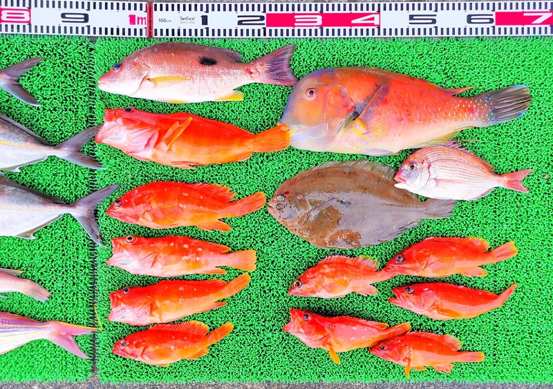 IMG_20250122_164737_edit_246704672137875