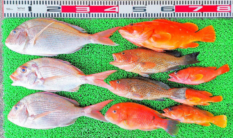 IMG_20251108_152025_edit_2343436206103349