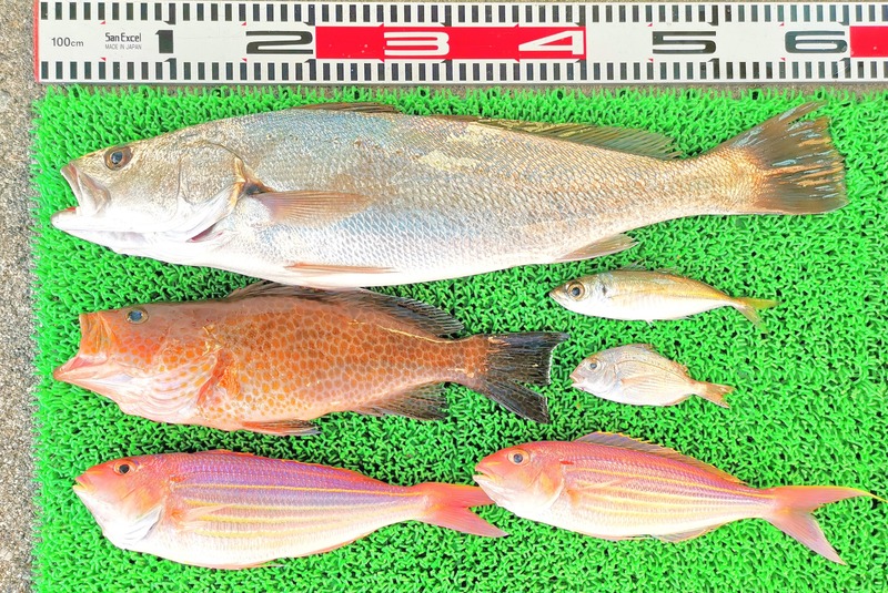 IMG_20251129_134822_edit_2783508684730469