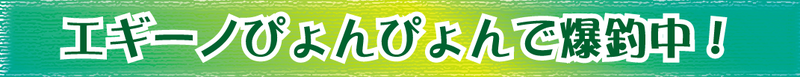 search_title04