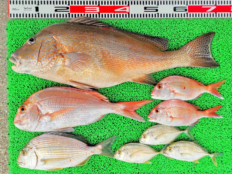 IMG_20251016_151816_edit_1856315810039136