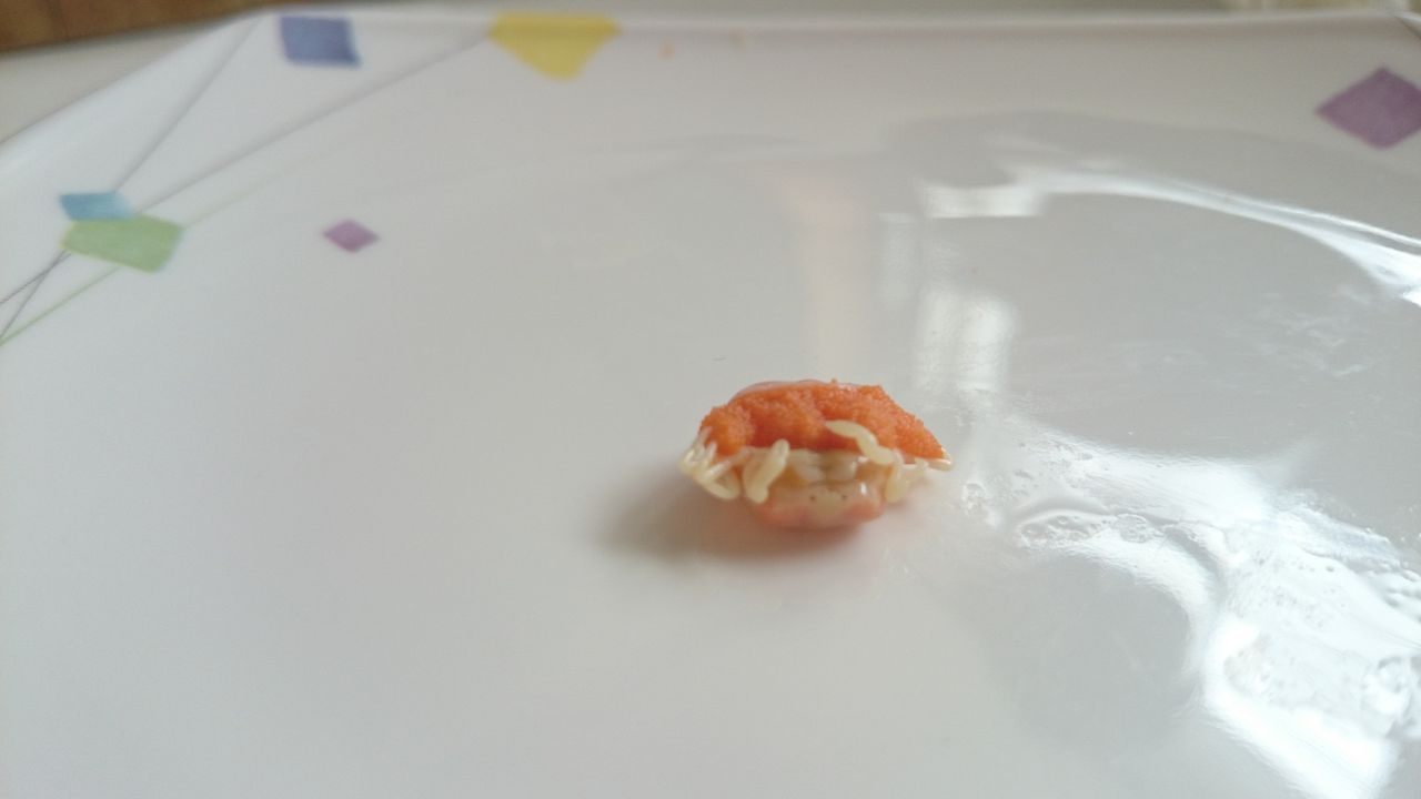 宇佐の土曜市で買った大アサリを食べてみた 竹村貸舟店 高知県 浦ノ内湾 宇佐 須崎市横浪半島沖の船釣り 釣果情報 ブログ