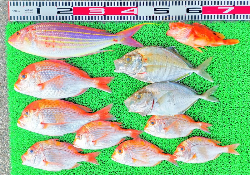 IMG_20260205_162345_edit_363437132350790