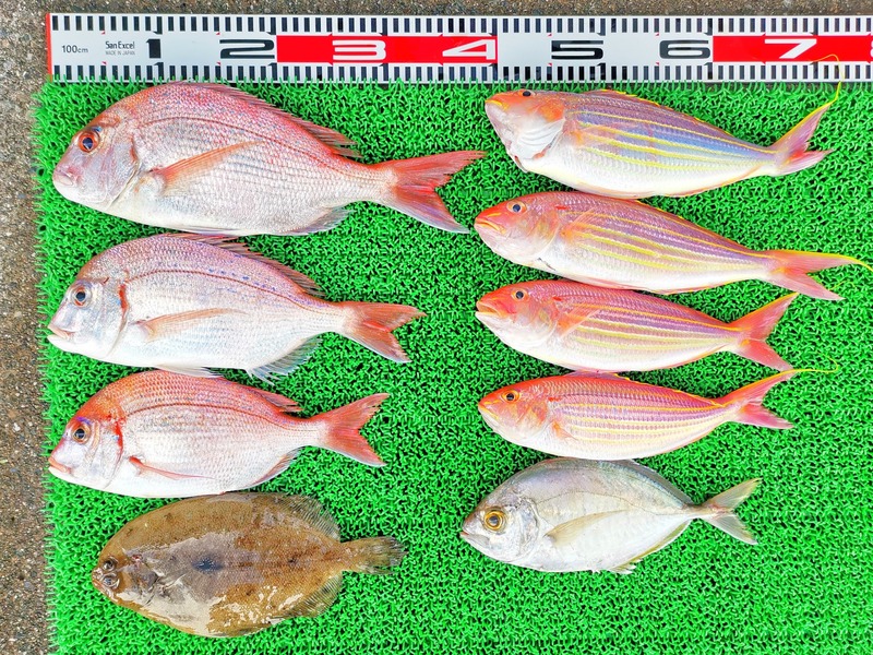 IMG_20210627_153934_edit_705941113951655