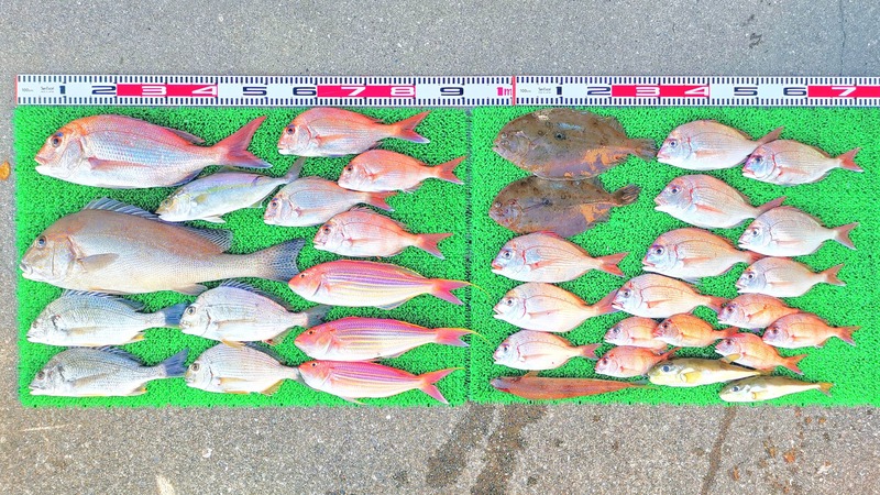 IMG_20251126_140309_edit_2714112716809287